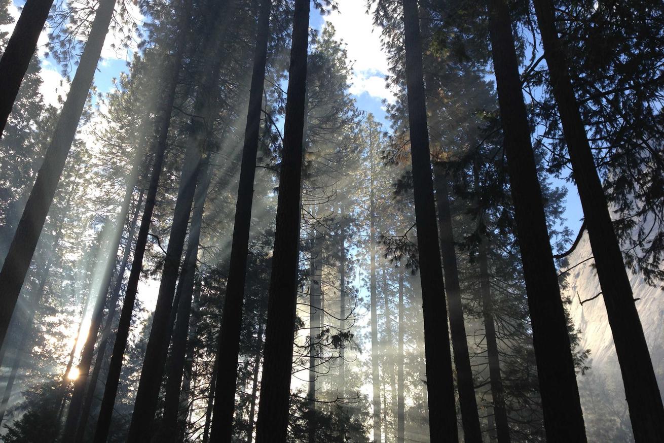 Sed natus sit eos repellendus natus dolorem