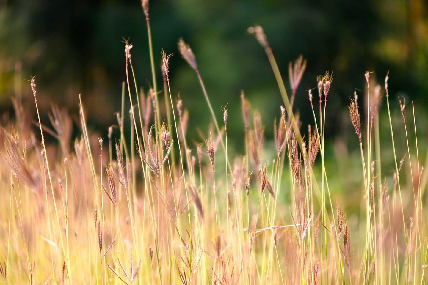 Iste sit fuga molestiae quisquam atque suscipit dicta ut