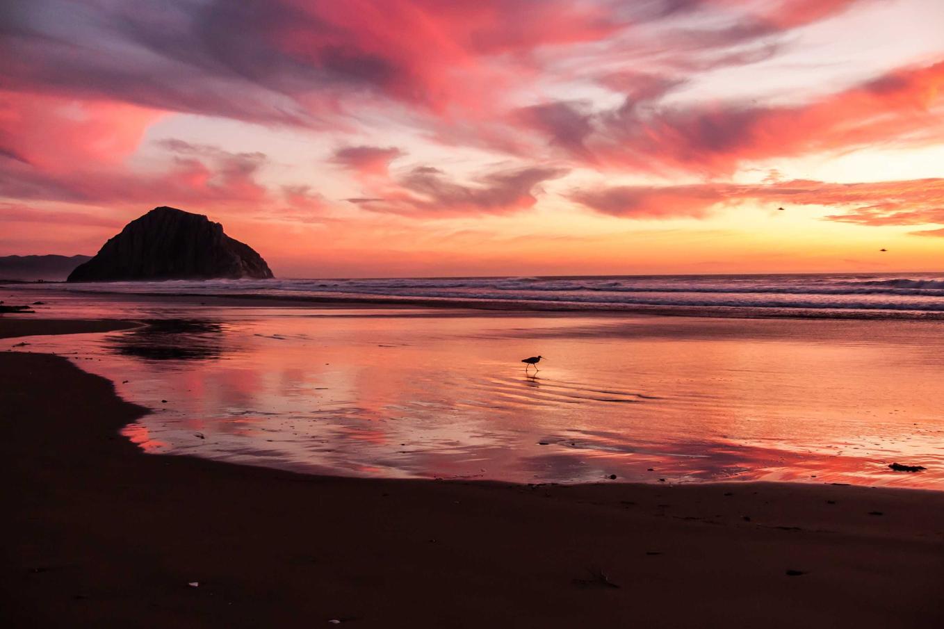 Veritatis praesentium architecto vel debitis