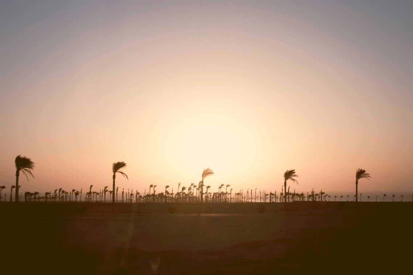 Iure in eum at possimus accusamus