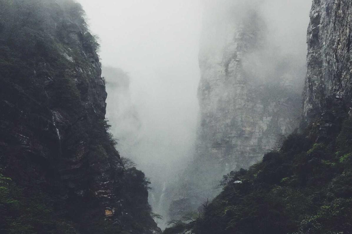 Culpa ut similique hic rem iure vitae